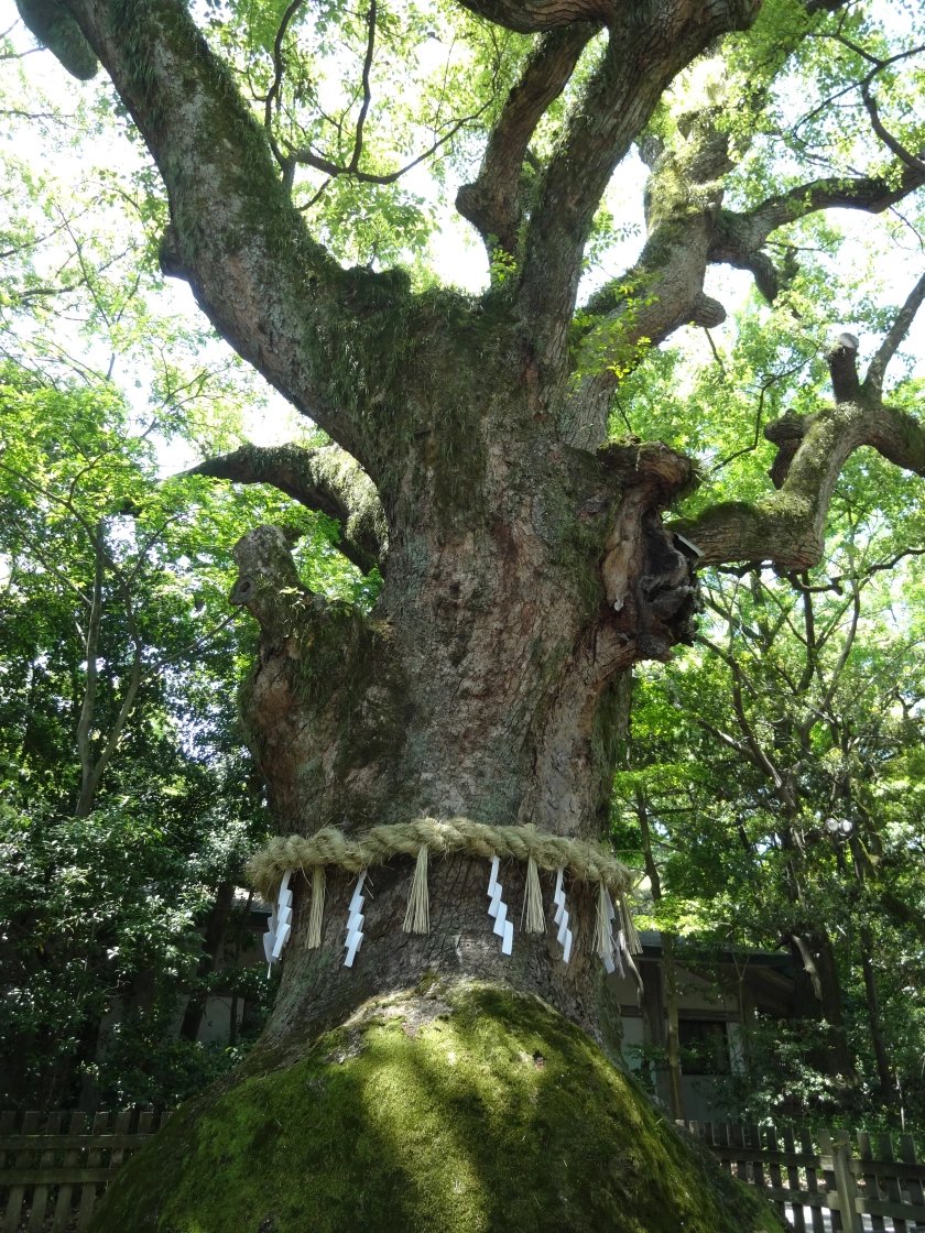 ⛩️ 구사나기 신사(쿠사나기진자)
